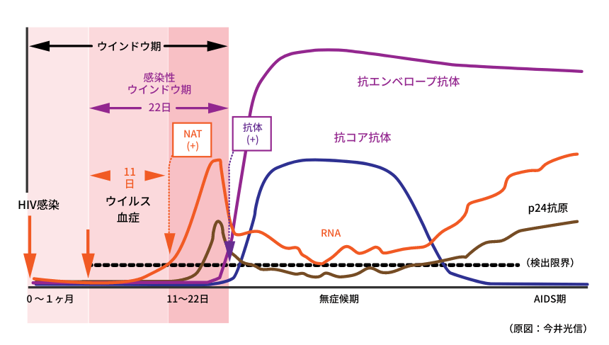 HIV抗体検査について